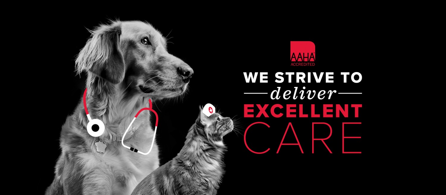 AAHA - WE STRIVE TO deliver - EXCELLENT CARE