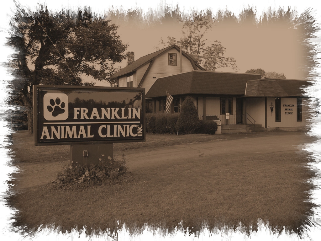 Franklin Animal Clinic - Franklin, PA