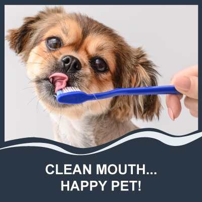 Clean Mouth Happy Pet
